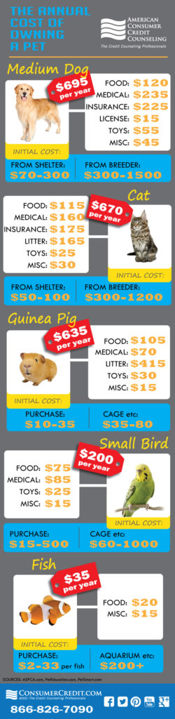 cost-of-pets-infographic