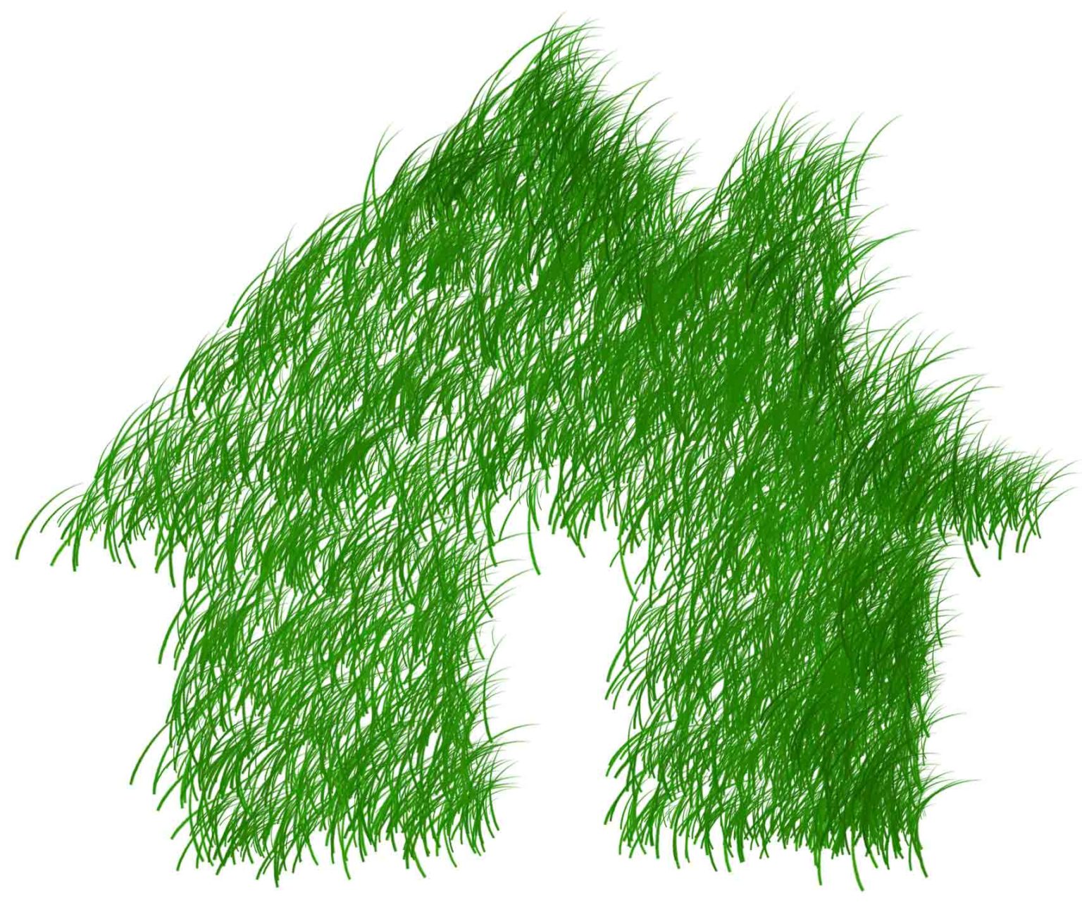 Green Roofs and How They Can Save You Money Consumer Credit