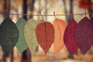 ACCC's DIY fall wedding tips will make your wedding joyous - not debt-ridden