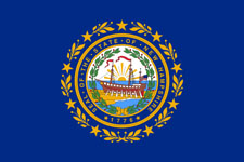 New Hampshire State Flag