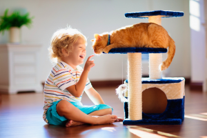 With some strategic planning and smart shopping, you can get all the essentials for your new pet without going into debt.